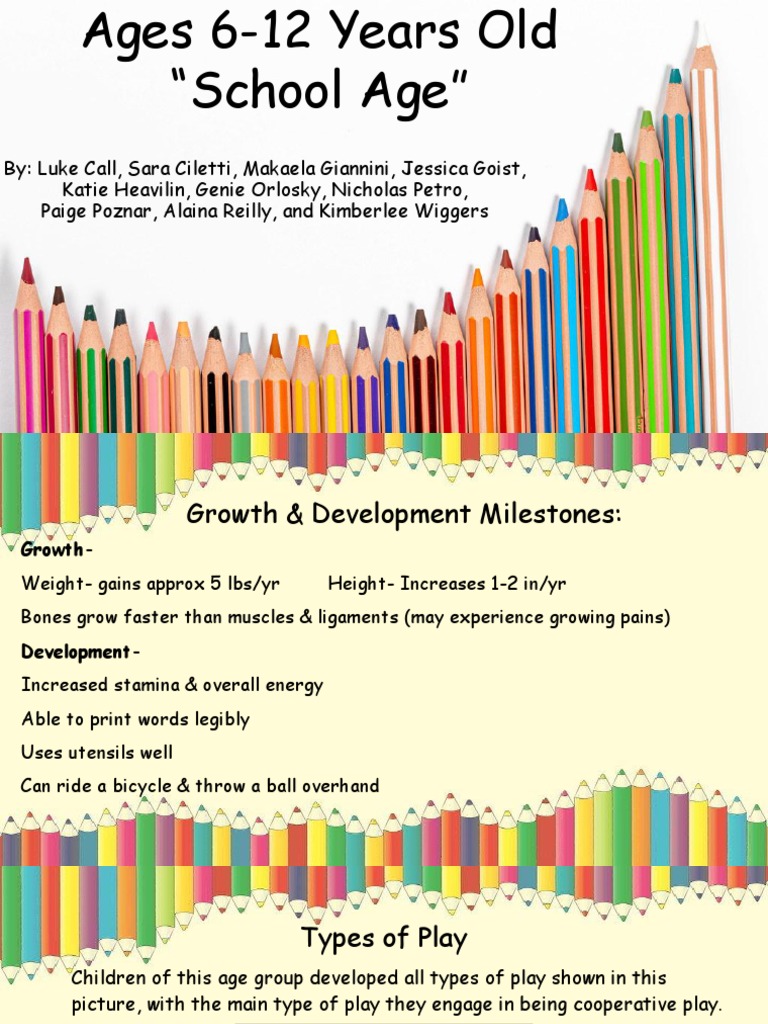 Shoebox Project PDF Toys Cognition