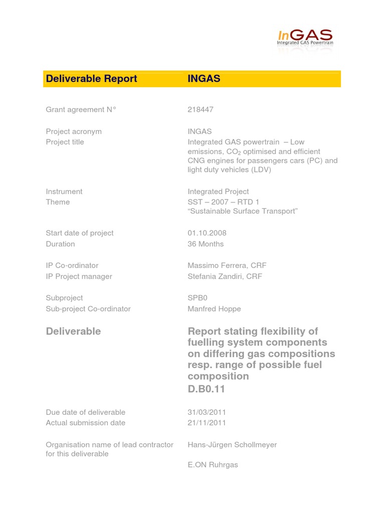 Deliverable Report Ingas | PDF | Fuel Injection | Natural Gas