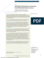 Depresion y Ansiedad Materna y Su Relacion Con La Microestructura de La Materia Blanca en Infantes.