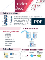 Infografia