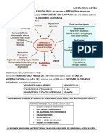 Lesión renal aguda: factores, clasificación y diagnóstico