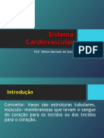 SISTEMA CIRCULATÓRIO  - wilson