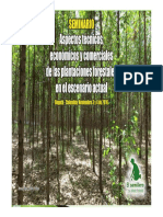 Valoracion en Plantaciones Forestales Critrerios Actuales y Metodologia