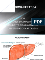 Anatomia Hepatica