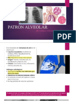 Patron Alveolar