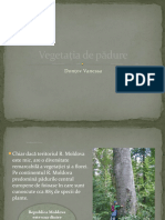 Vegetația de pădure