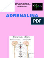 ADRENALINA Nuevo