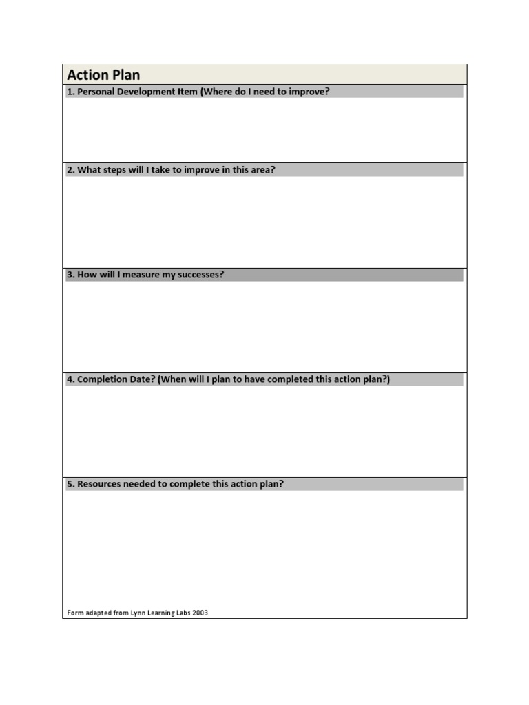 Action Plan: Form Adapted From Lynn Learning Labs 2003 | PDF