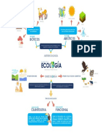 Mapa Mental de Ecología