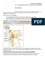 Sistema Neuroendócrino