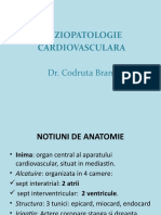 Curs 3 - FIZIOPATOLOGIE CARDIACA