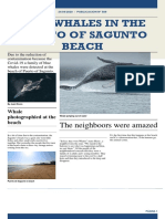 Blue Whales in The Puerto of Sagunto Beach: The Neighboors Were Amazed