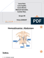 Hemodinamia Abdomen