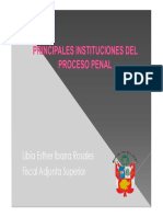 Procesos Especiales en el Nuevo Código Procesal Penal