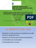 BENEFICIO CAFE