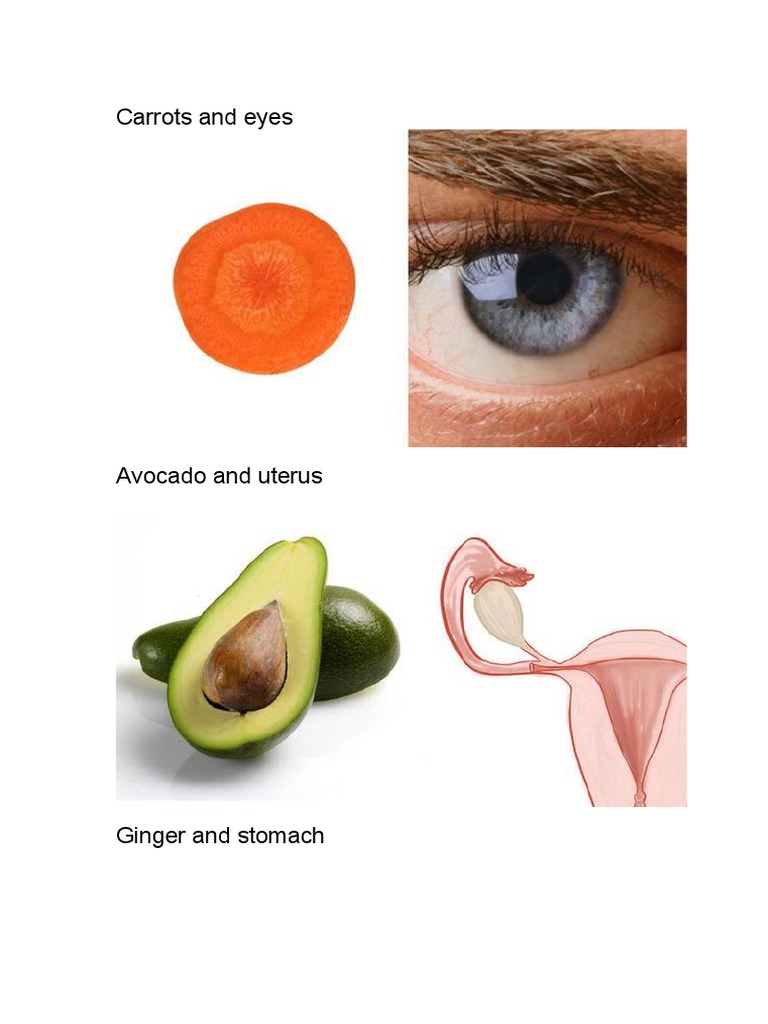 Avocado's Role in Human Health | PDF
