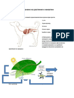 хранене при животни и растения 1