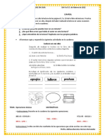 Actividades Del 8 Al 15 de Febrero