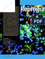 celulatronco-reprogramacao