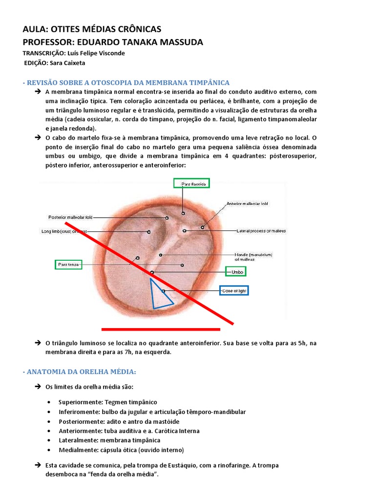 Otoscopia da Membrana Timpânica | PDF | Orelha | Audição