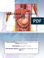 Aparato Digestivo Final