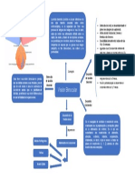 Tarea Vision Vinicular