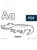 Alligator[1]