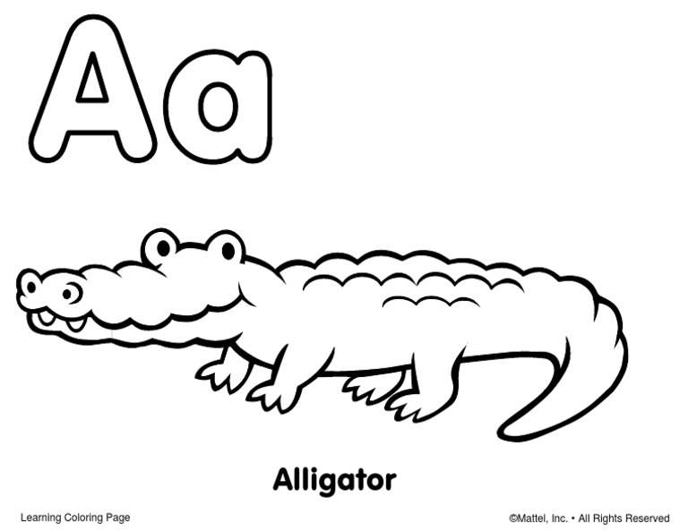Alligator | PDF