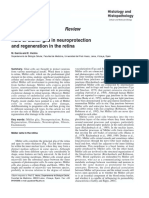 García 2003 - Role of Muller Glia in Neuroprotection and Regeneration in The Retina