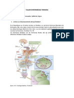 Taller Enfermedad Tiroidea