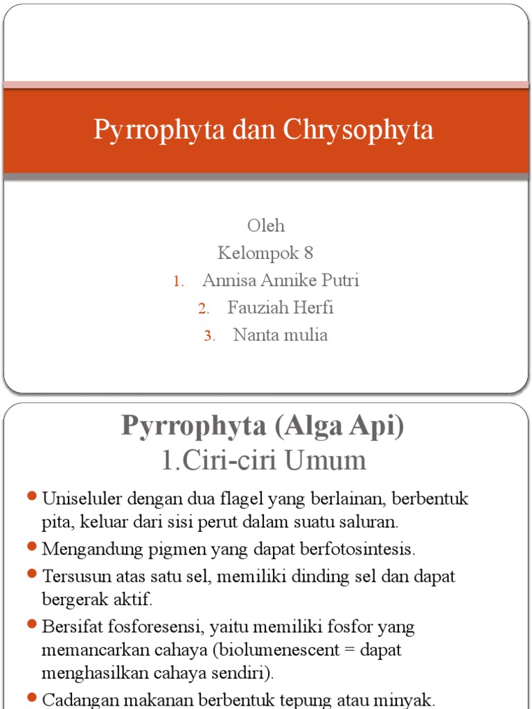 Ciri dan Peranan Pyrrophyta serta Chrysophyta | PDF | Sains & Matematika