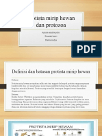 Protista mirip hewan dan protozoa