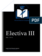 Electiva III