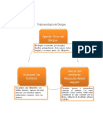 Triada Ecológica Del Dengue