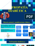 Nefropatìa Diabètica
