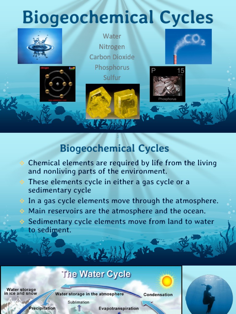 Biogeochemical Cycles Pdf Sulfur Carbon Dioxide