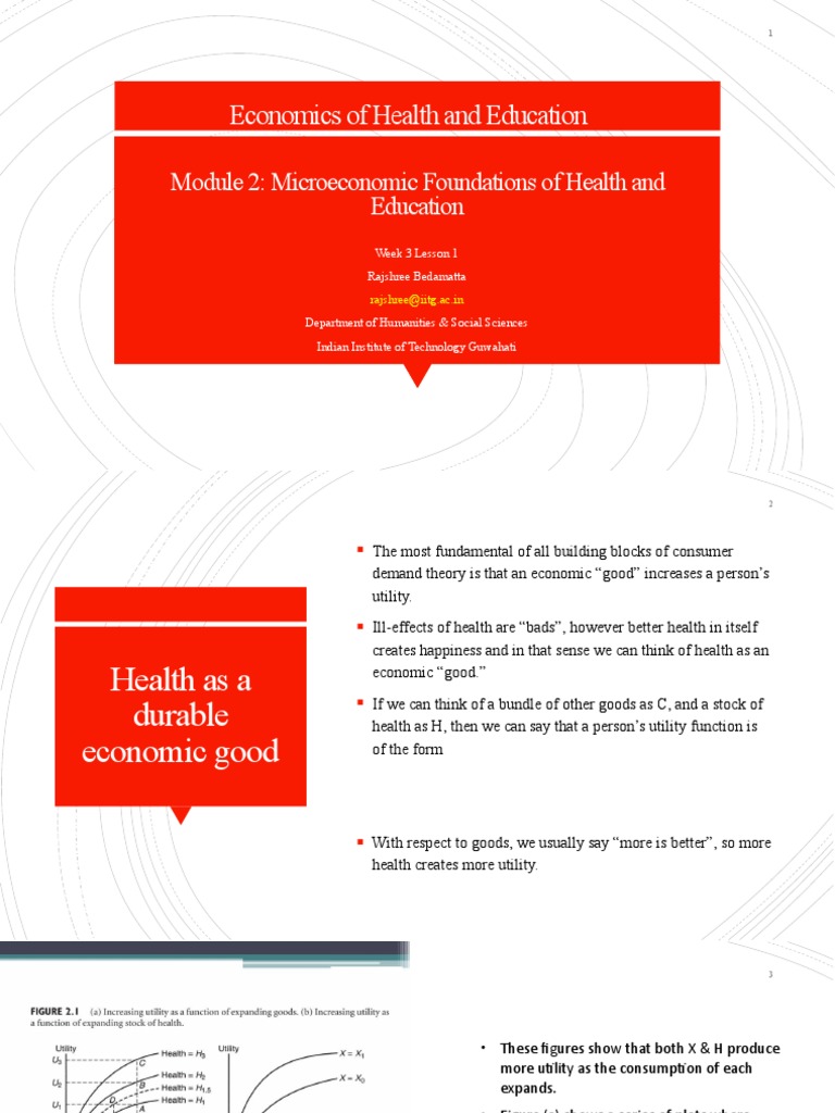 Microeconomic Foundations of Health | PDF | Utility | Economics
