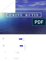 Urine Rutin Praktikum