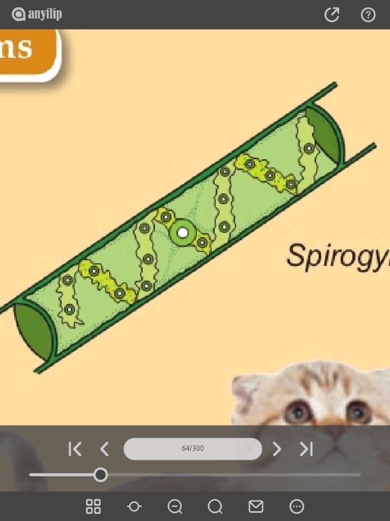 TextBooks Science Form 1 (DLP) 2 | PDF