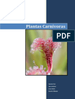 Plantas Carnivoras