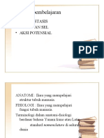 Homeostasis Aksi Pot