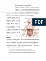 El aparato digestivo y su funcionamiento