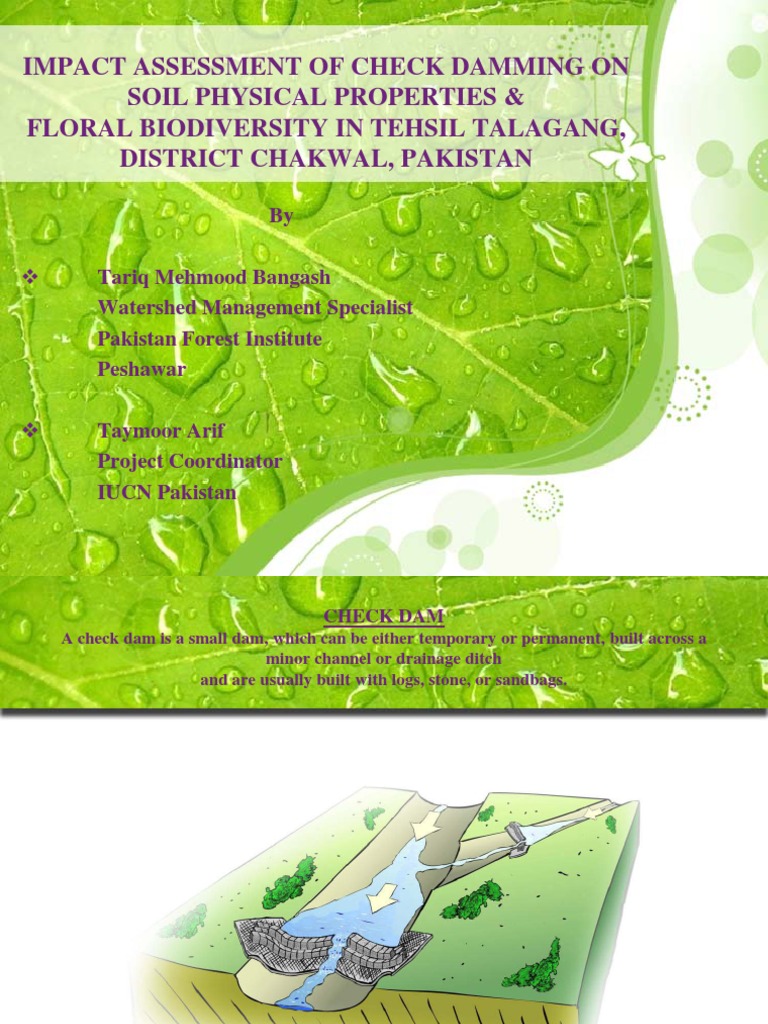 Check Dam | PDF