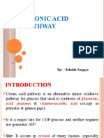 Uronic Acid Pathway