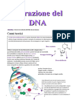 Estrazione Del DNA