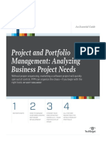 Project and Portfolio Management: Analyzing Business Project Needs