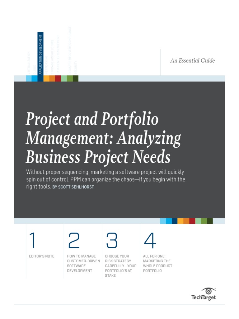 Project and Portfolio Management: Analyzing Business Project Needs ...