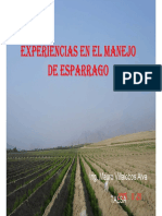 EXPEREINCIAN EN EL MANEJO DE ESPARRAGO(charla18-10-2006)