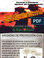 Brigadas de Proteccion Civil