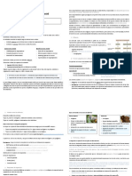 Psicoendocrinología Tema 4 